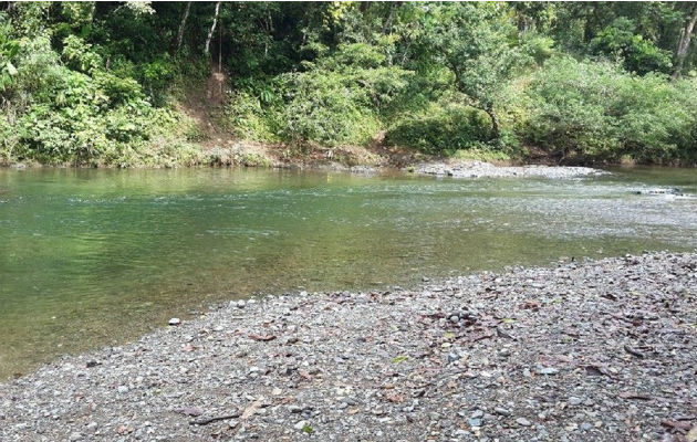 Prohíben bañarse en Río Gatún para no contaminar toma de ... - Panamá América