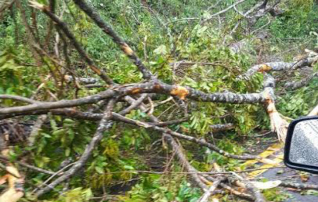Cae granizo en Boquerón, durante fuerte tormenta eléctrica - Panamá América