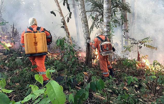  Incendio en la amazonía brasileña, en Porto Velho, capital del estado amazónico de Rondonia. Foto: EFE.