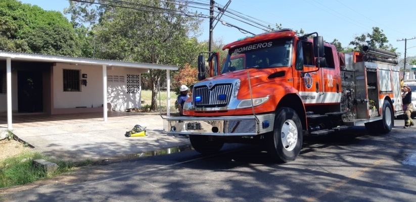 En El Primer Trimestre Se Han Atendido 500 Casos De Abejas Africanizadas En Los Santos Panamá