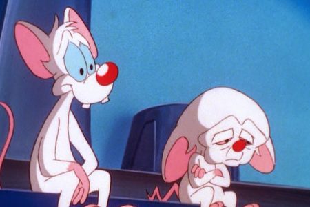 pinky and cerebro