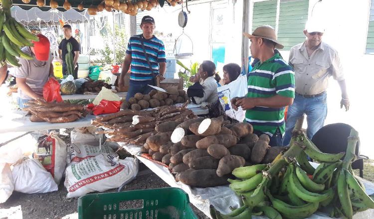 En ferias, productores del norte de Veraguas venden sus productos ...