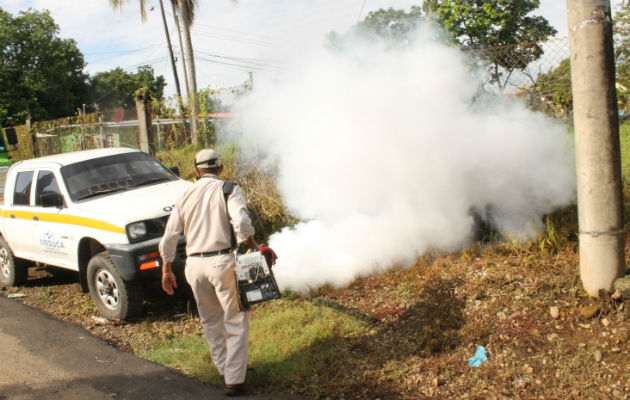 Se mantiene labor de fumigación. Foto: José Vásquez.