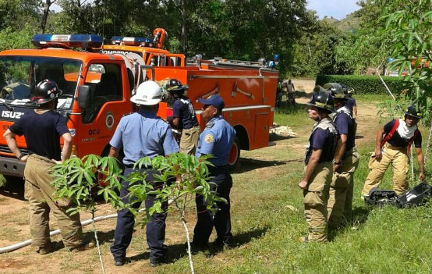 Se ha reportado presencia de las abejas en toda la provincia. Foto: Thays Domínguez.