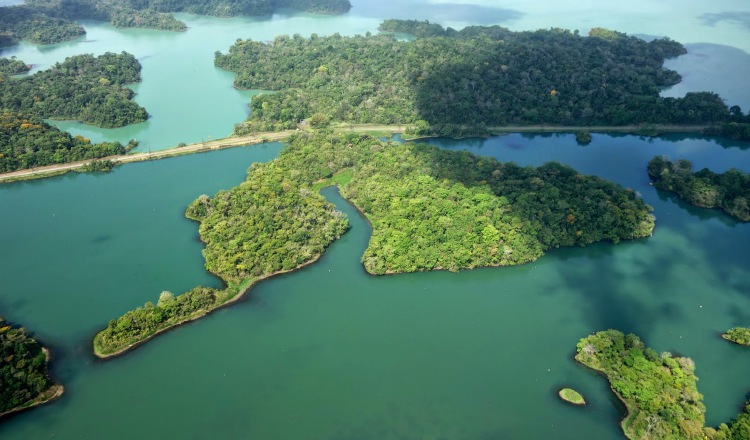 La ACP lanza una nueva alerta sobre niveles del lago Gatún | Panamá América