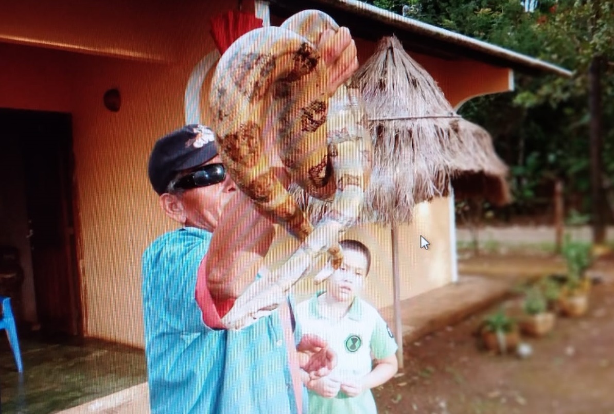 Coclé ha superado en casos de mordeduras de serpientes a Veraguas. Foto: Melquiades Vásquez 