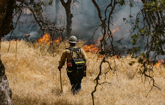 El cambio climático, asimismo, está generando riesgos laborales emergentes. Foto: Pexels