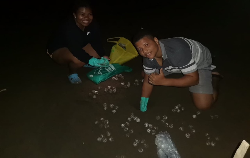 Moradores están comprometidos con la conservación de las tortugas marinas. Foto: Cortesía/MiAmbiente