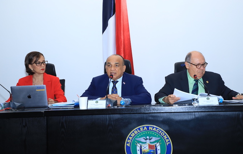 Comisión de Salud de la Asamblea Nacional. Foto: EFE