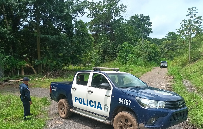 El trágico incidente ocurrió cuando podaba unos árboles en el sector playa Reina. Foto: Diómedes Sánchez 