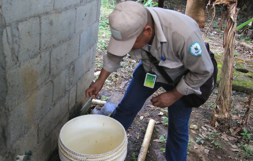  El Minsa recomienda eliminar los criaderos de mosquitos. Foto: Cortesía