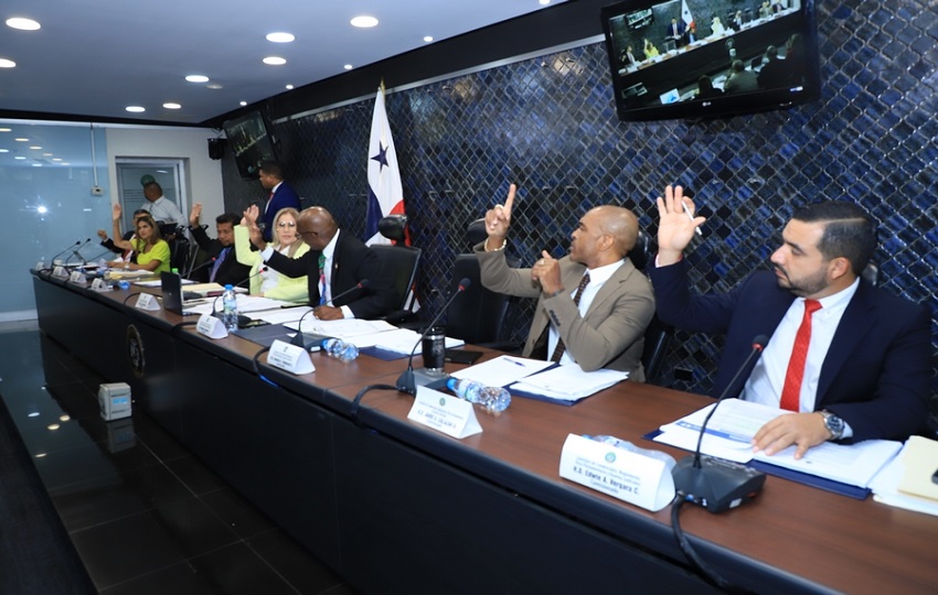 Votación de los miembros de la Comisión. Foto: Cortesía