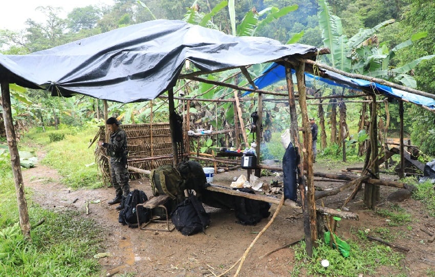 Durante la Operación Caribe III,  fueron detenidas cinco personas entre ellas un colombiano en el Parque Nacional Chagres. Foto. MiAmbiente