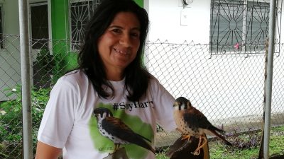 Karla Aparicio, la mamá de las águilas harpías. Foto: Víctor Arosemena.