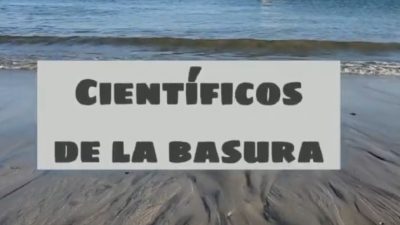 Limpieza y protección de Playas en San Carlos. Foto: Cortesía